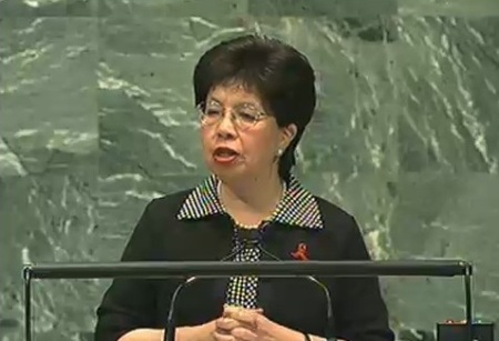 Dr Margaret Chan, World Health Organization (WHO) director general, speaking to the Assembly